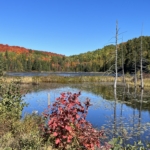 Thumbnail of related posts 017